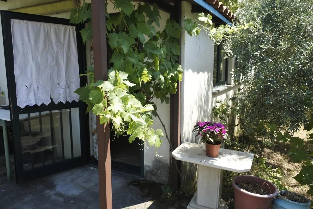 Etna Evergreen Casa Vacanze Piedimonte Etneo