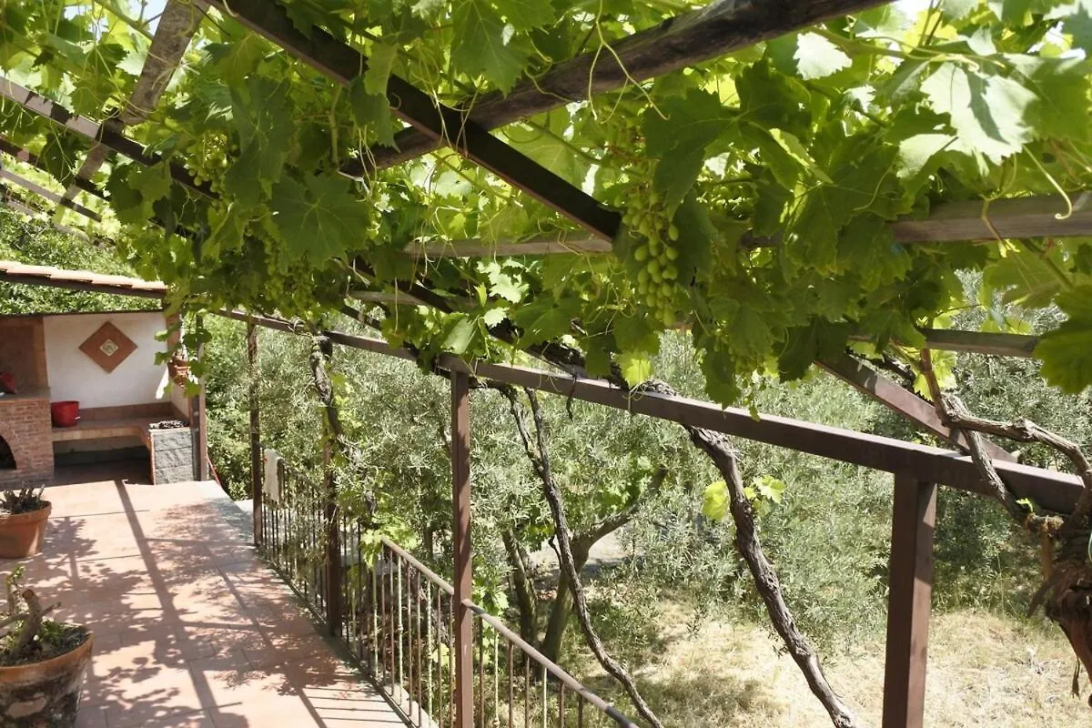 Etna Evergreen Casa Vacanze Piedimonte Etneo 0*,